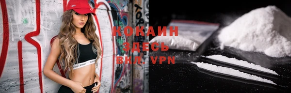 ПСИЛОЦИБИНОВЫЕ ГРИБЫ Богданович