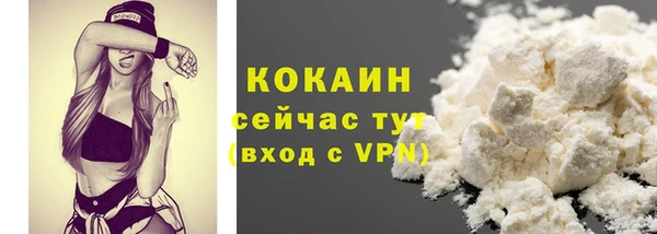 дживик Богородск