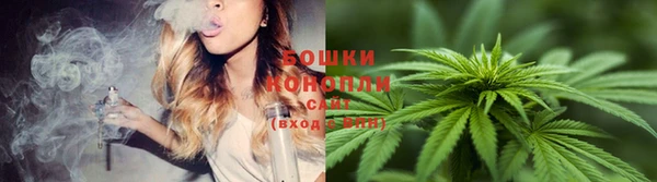 Альфа ПВП Богородицк