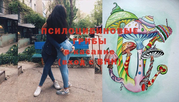 дживик Богородск