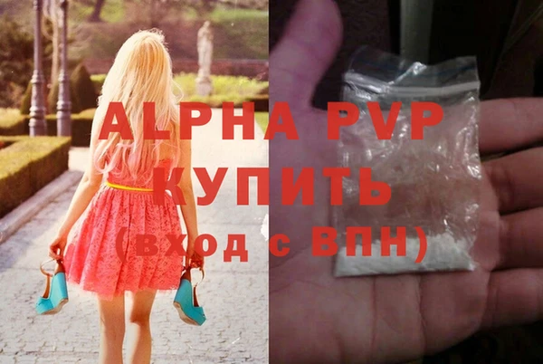 ПСИЛОЦИБИНОВЫЕ ГРИБЫ Богданович